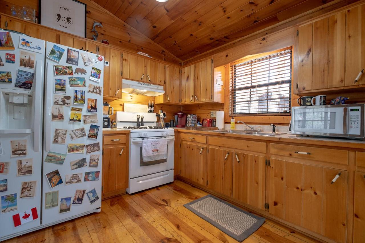 Three Dog Night - Pet-Friendly Cabin With Hot Tub Βίλα Blue Ridge Εξωτερικό φωτογραφία