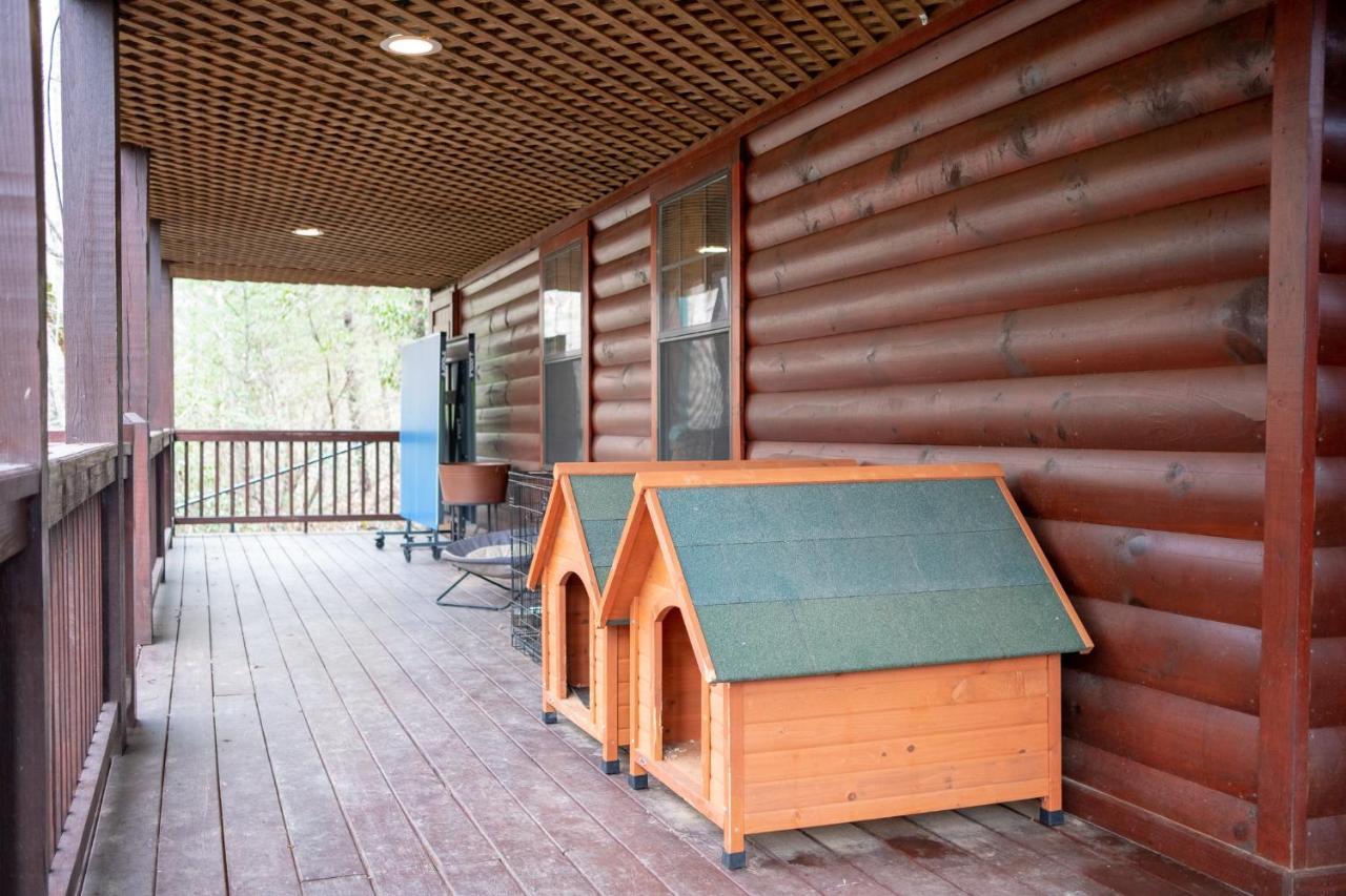 Three Dog Night - Pet-Friendly Cabin With Hot Tub Βίλα Blue Ridge Εξωτερικό φωτογραφία