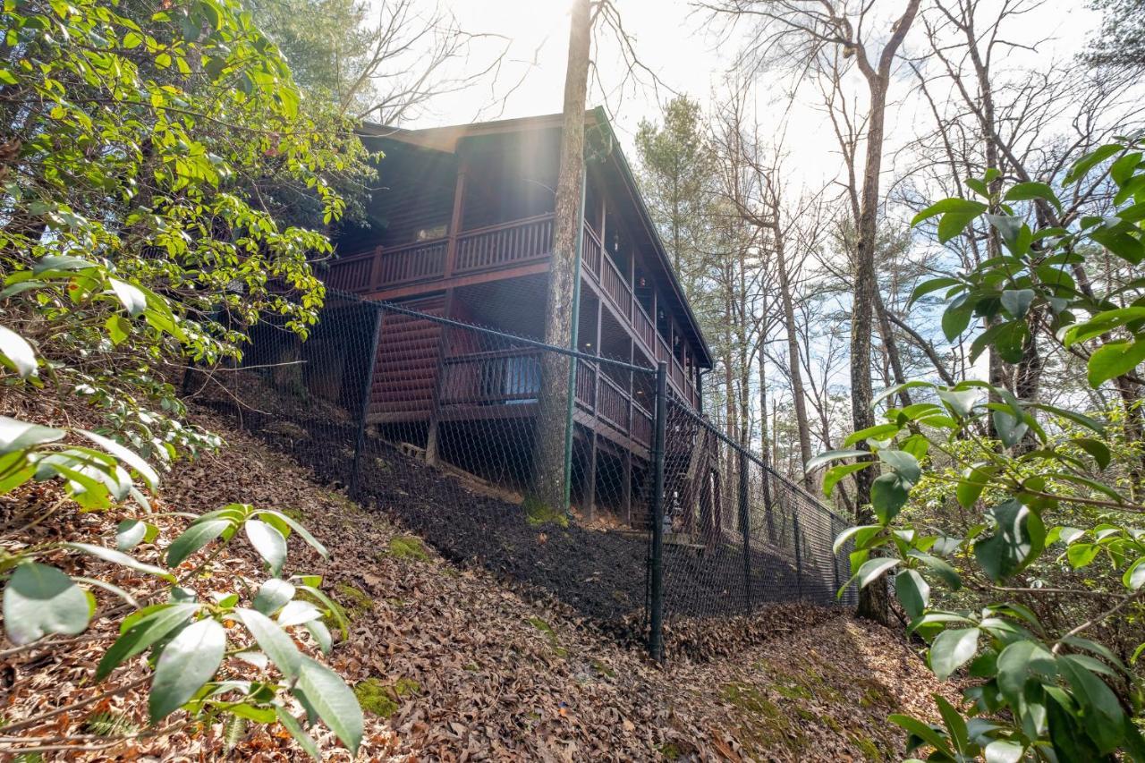 Three Dog Night - Pet-Friendly Cabin With Hot Tub Βίλα Blue Ridge Εξωτερικό φωτογραφία